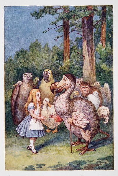 Alice Meets the Dodo, from Alice